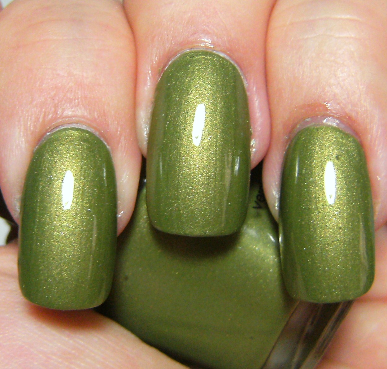 [franken+-+wild+olive+--DEEZ-NAilz---+(5).JPG]