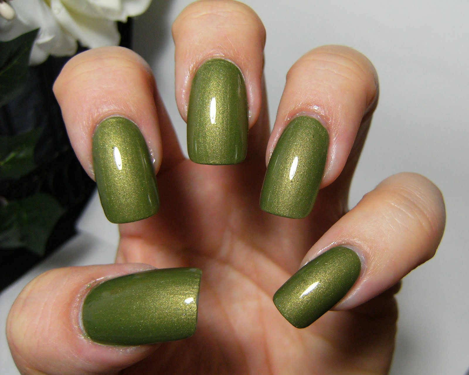 [franken+-+wild+olive+--DEEZ-NAilz---+(7).JPG]