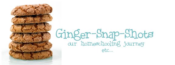 Ginger snap shots