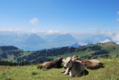 Mt. Rigi, Switzerland