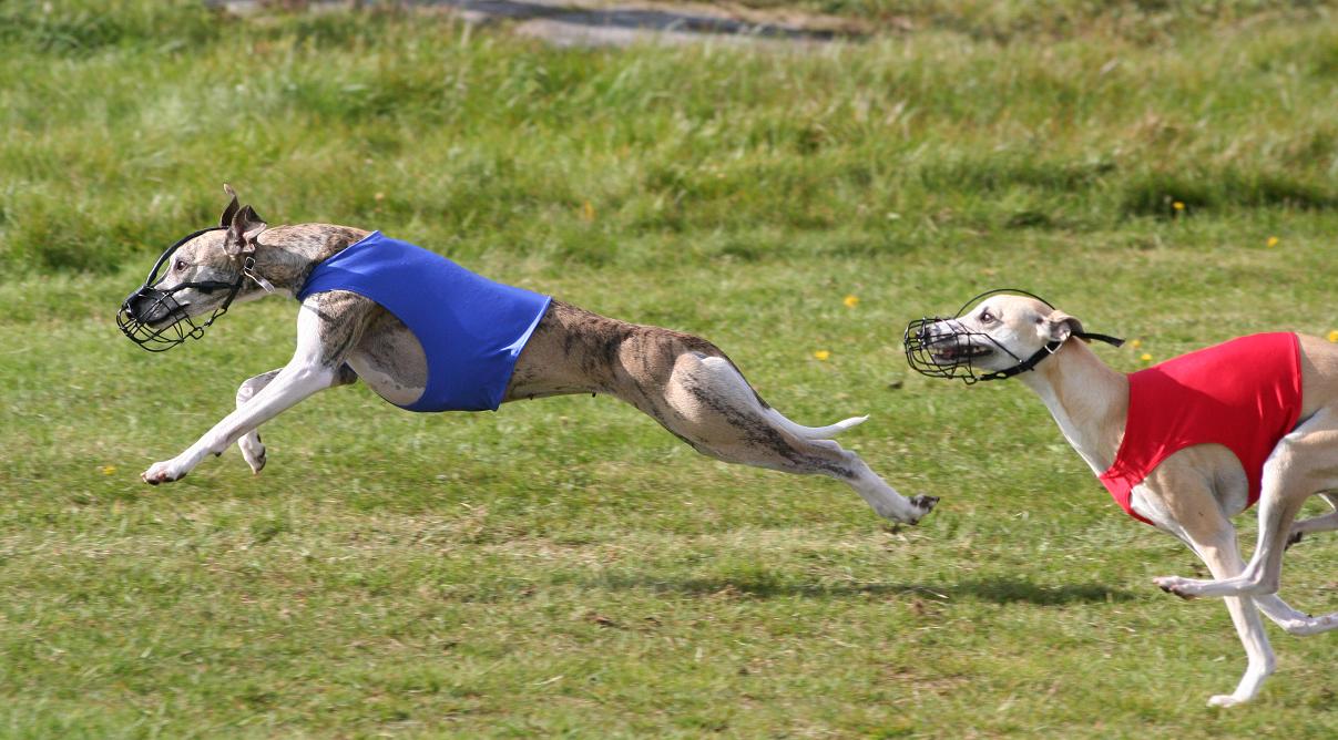 [20080920+falköping+LC+010.jpg]