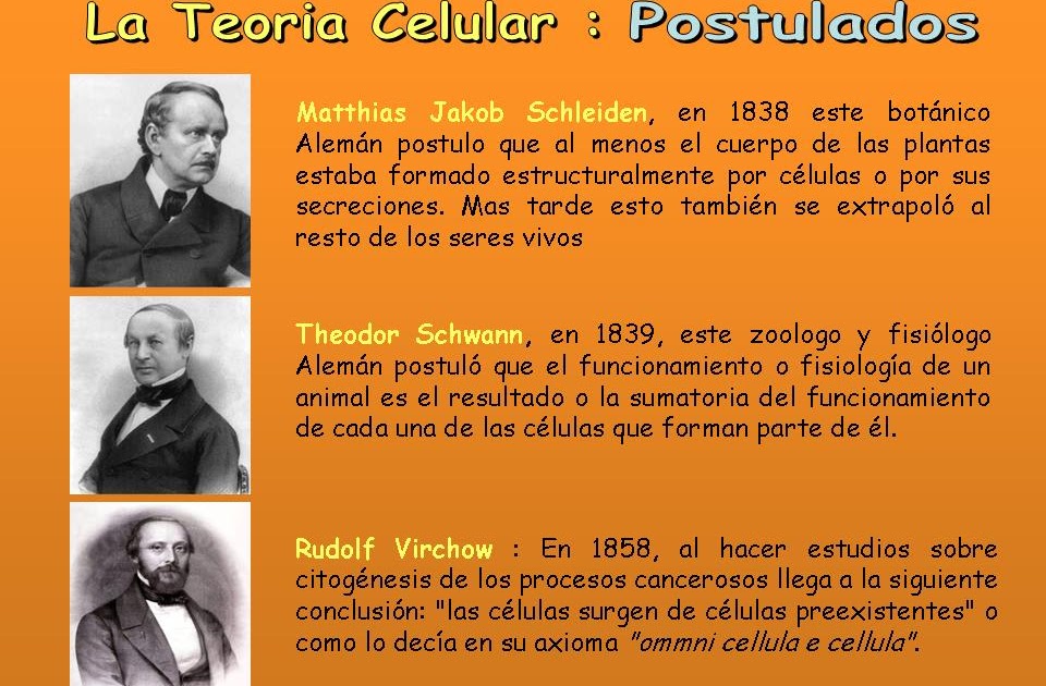 ¡Ciencias! Teoría Celular 4º ESO ¡Ciencias! Teoría Celular 4º ESO