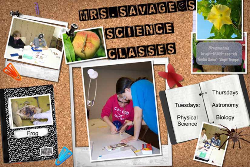 Mrs. Savage's Classroom