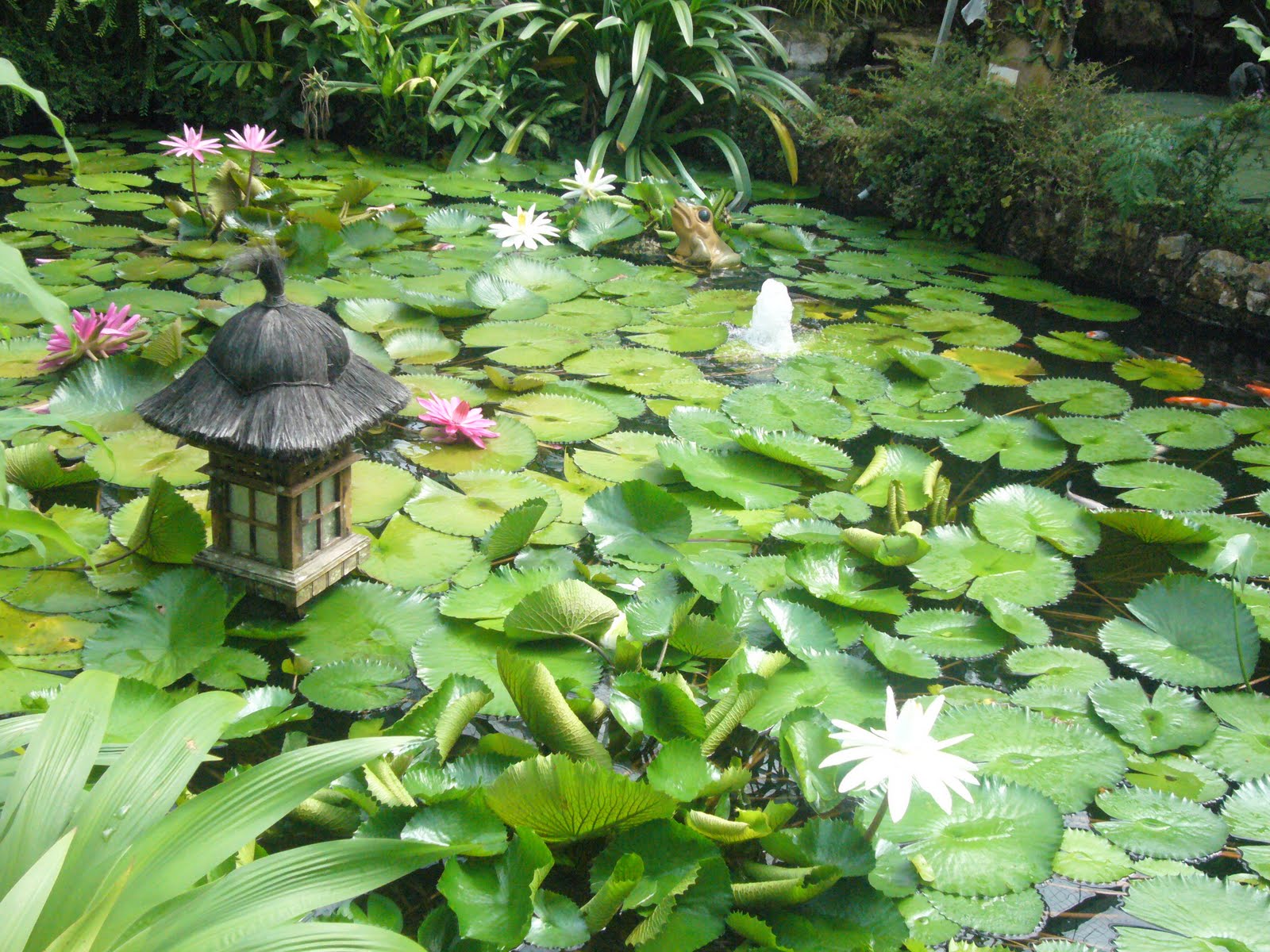 hhuiyi.blogspot.com: Butterfly Farm