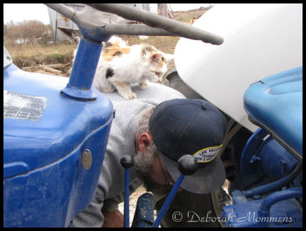 [10-29-2008+085.jpg]