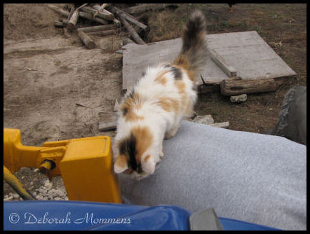 [10-29-2008+084.jpg]