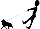 Schipperke - canil: black hoof dog