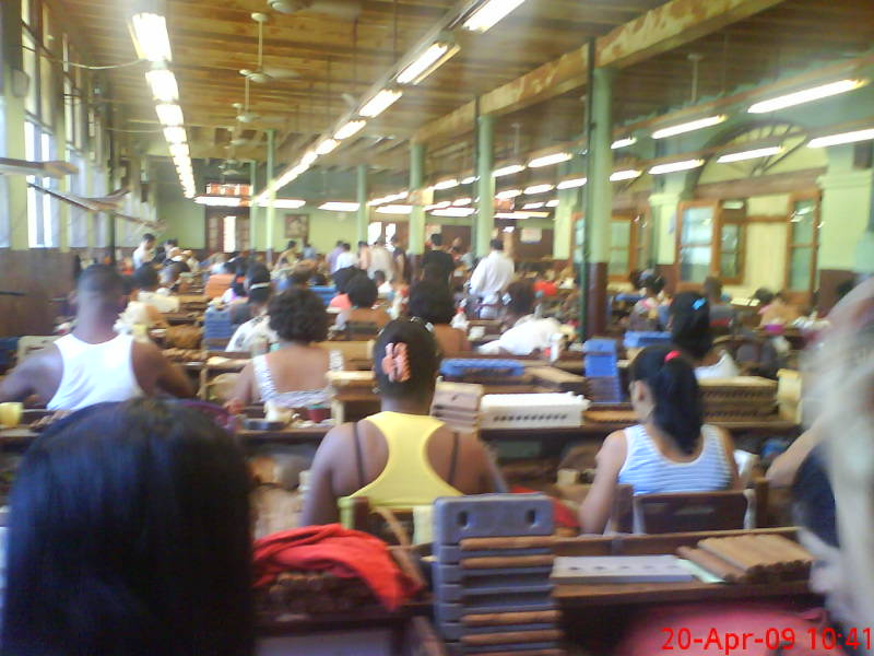 [image-upload-48-729790.jpg]