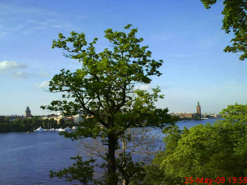 [image-upload-34-714630.jpg]