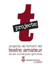 Projecte T