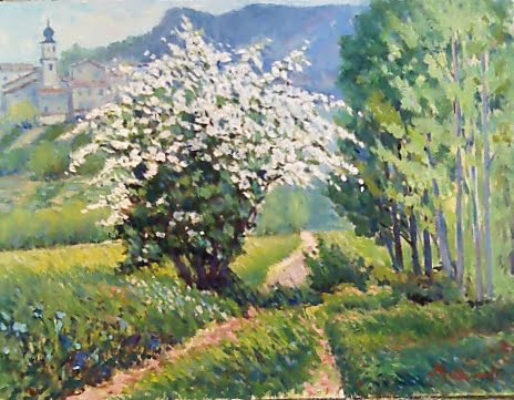 Biancospino in fiore