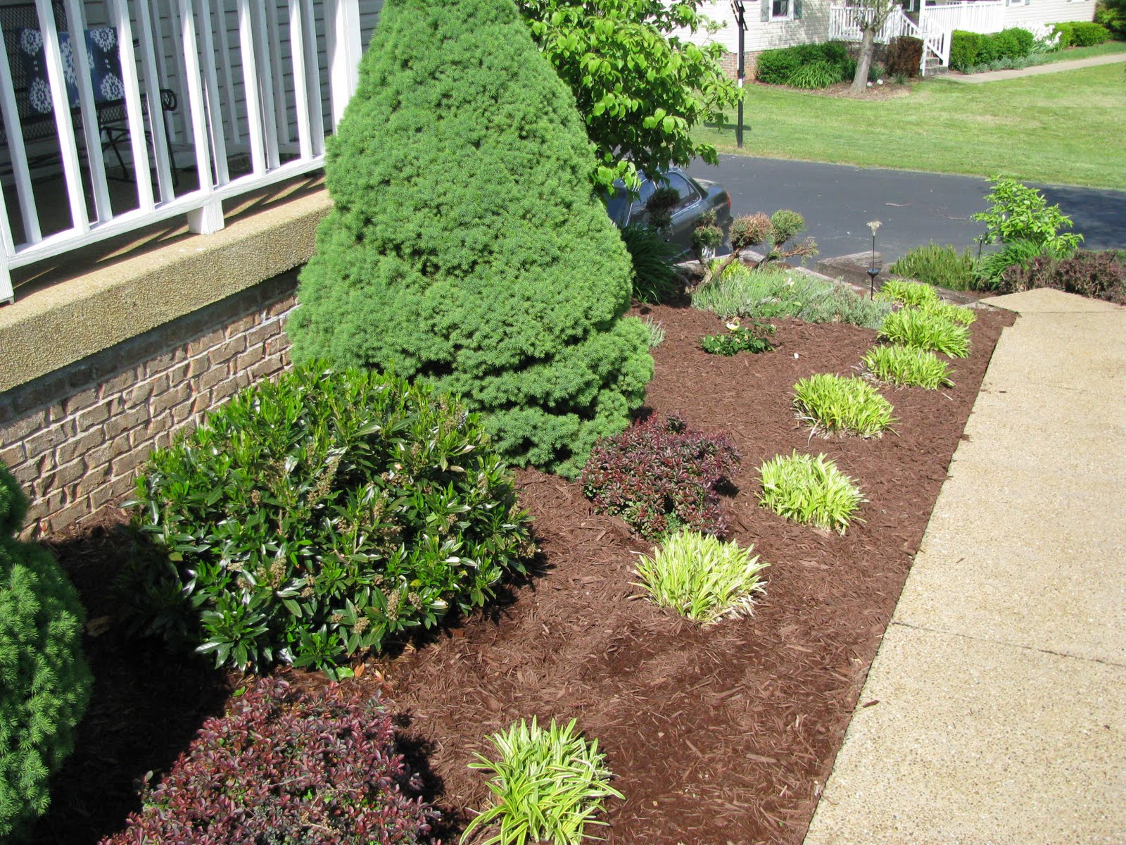 EARTH ALIVE AND BEAUTIFUL by Jason Landscaping Photo by Peter