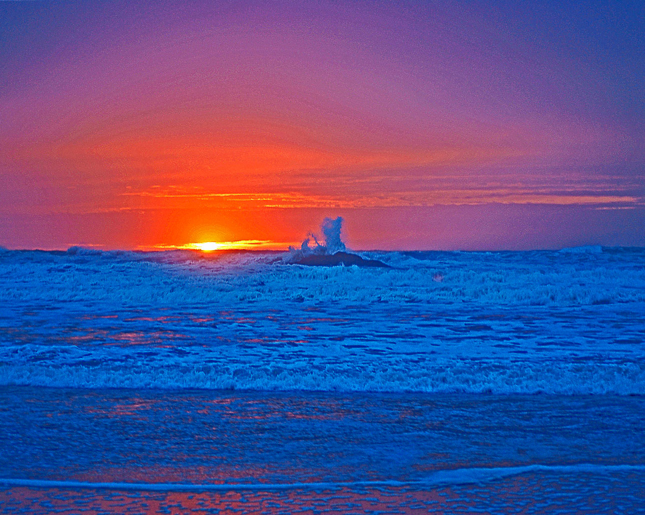[sunsetweb.jpg]