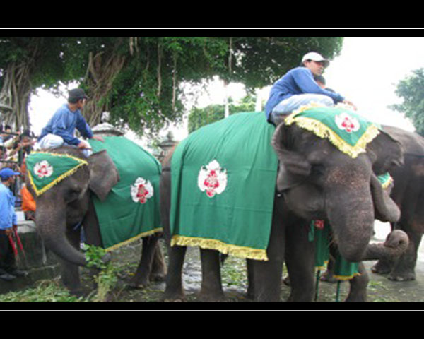 indonesia tourism info: DIY Yogyakarta > City Tour >> Gembira Loka Zoo