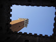 Foto della settimana