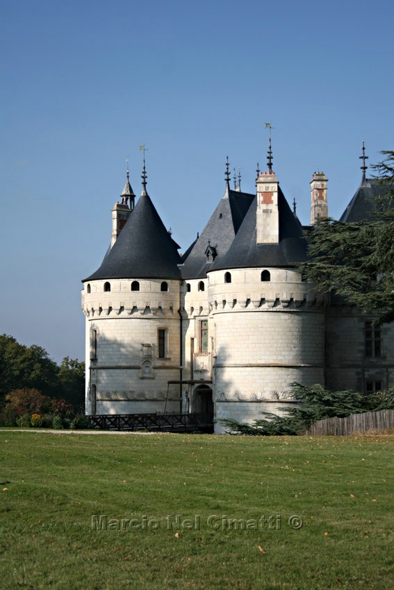 [IMG_1317T+leve.jpg]