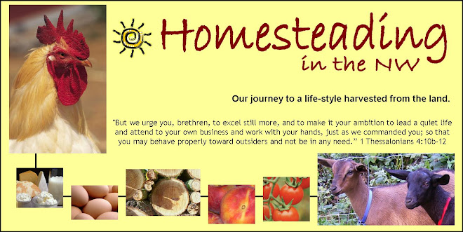 Homesteading in the NW