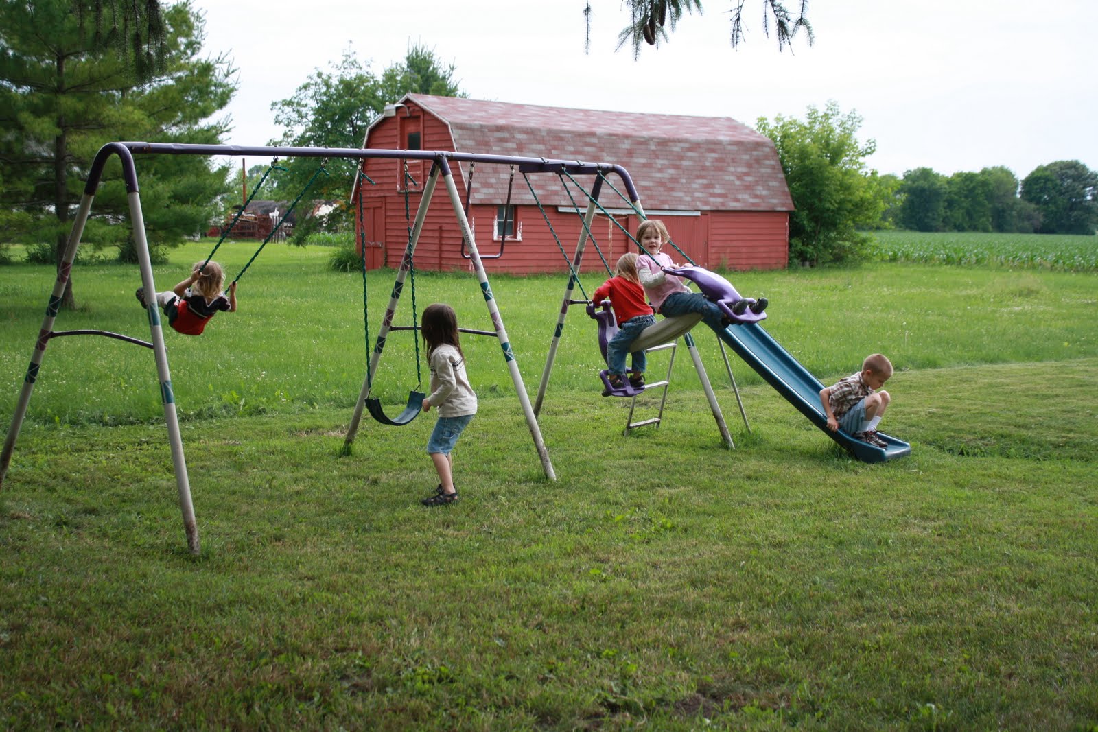 Michigan Roys Our first real swing set
