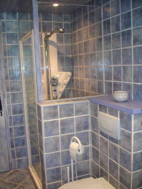 douche spacieuse 90x100 avec multi-jets
