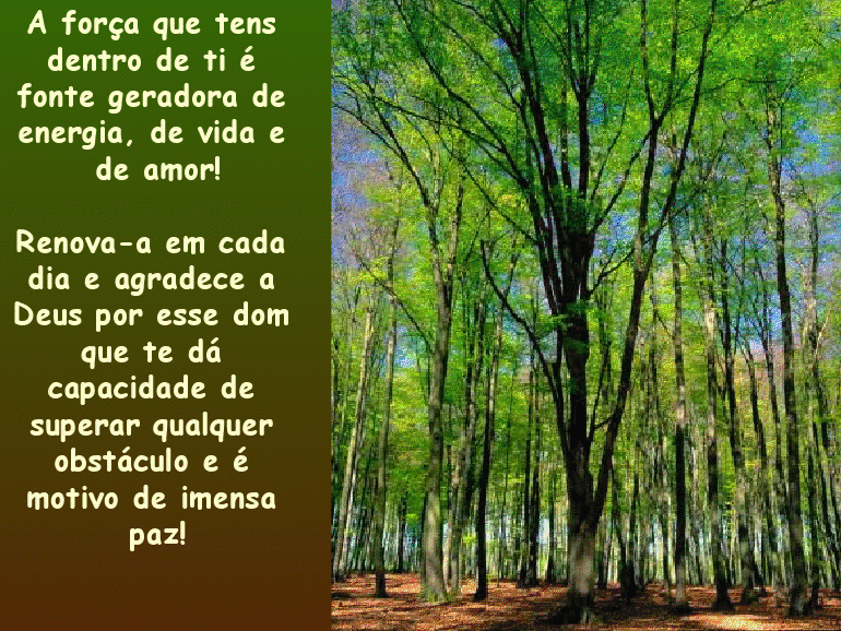 [Mensagens+de+vida+8]