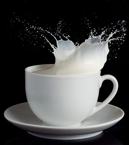 [milk.jpg]