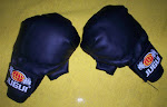 Luvas de Kuoshu - Boxe Chinês Tradicional