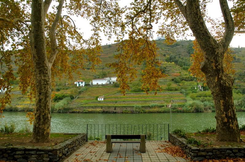 [Caldas-de-Moledo-02.jpg]