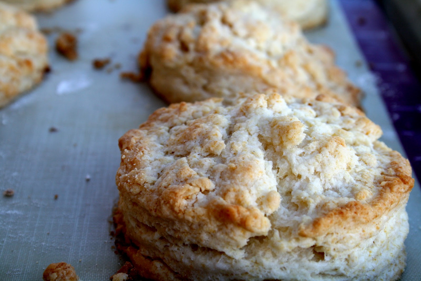 Love At First Bite....Eating for a healthier life Beef Stew and Baking