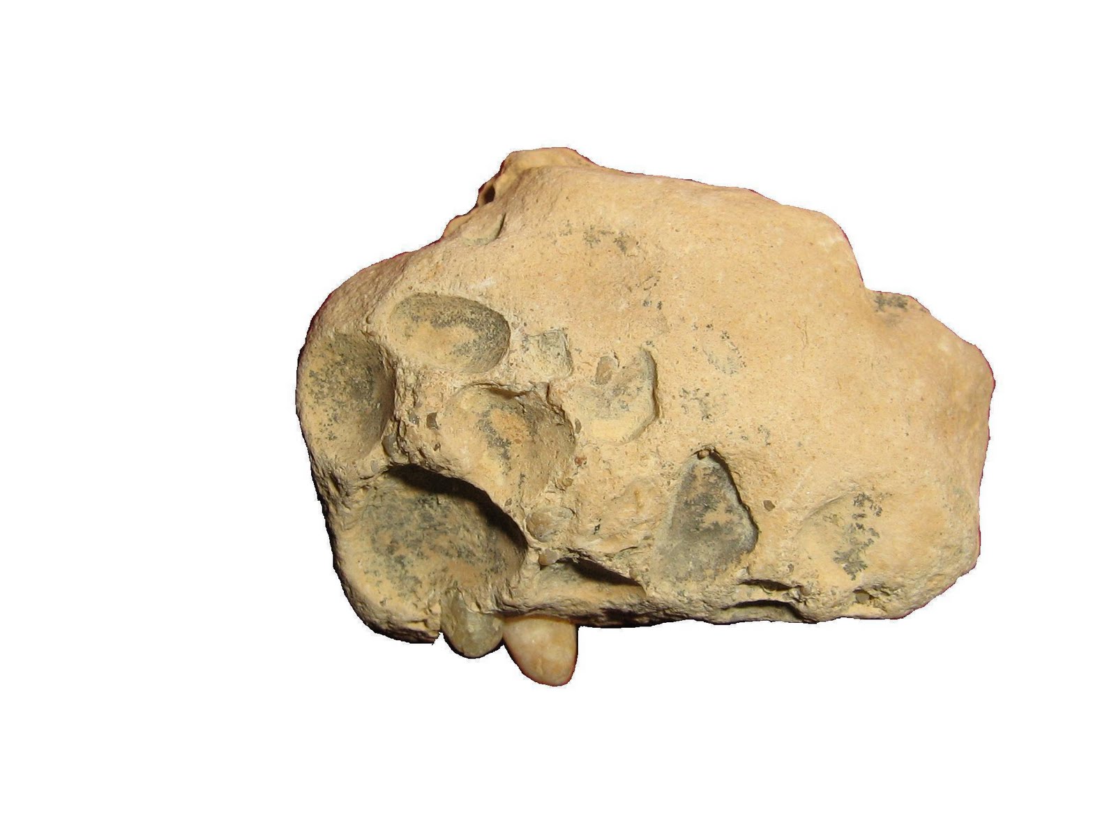 ENIGMAS DE ESPAÑA: CURIOSIDADES GEOLOGICAS