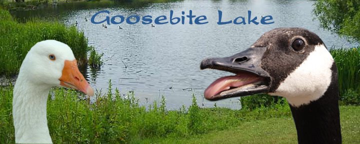 Goosebite Lake