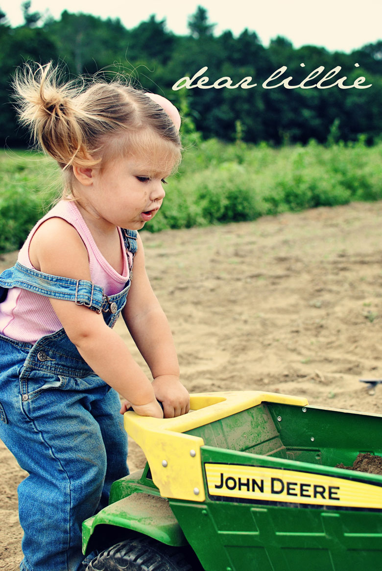 Dear Lillie My Little Farm Girl