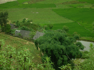 Sapa Vietnam