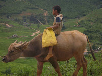 Sapa Vietnam