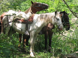 Horseback Riding Vilcabamba Ecuador