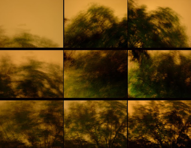 movimiento1