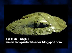 la capsula del saber