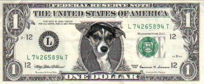 dog money