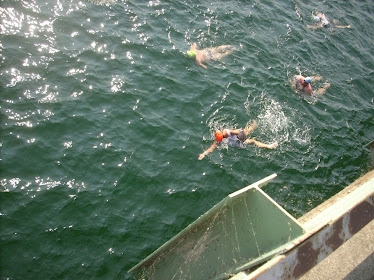 2010 Long Bridge Swim