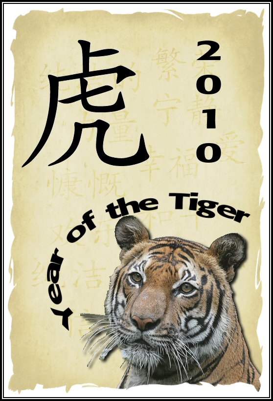 [2010_The_year_of_the_Tiger_by_sarahfe.jpg]