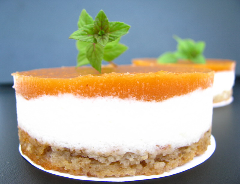 mushitza Plum Jelly and YoghurtAniseed Mousse on an AlmondWalnut