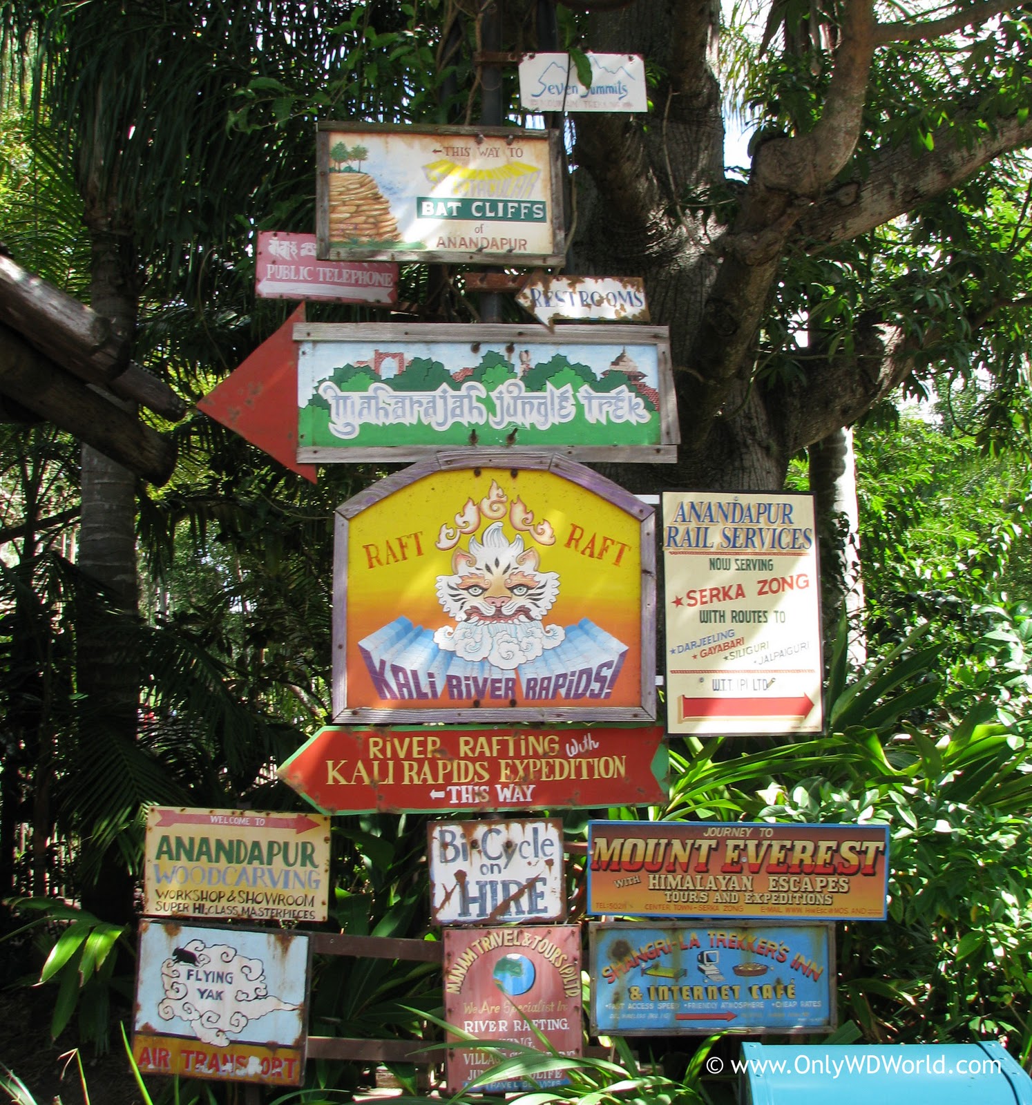 Checking Out The Signs In Disney's Animal Kingdom Asia | Disney World