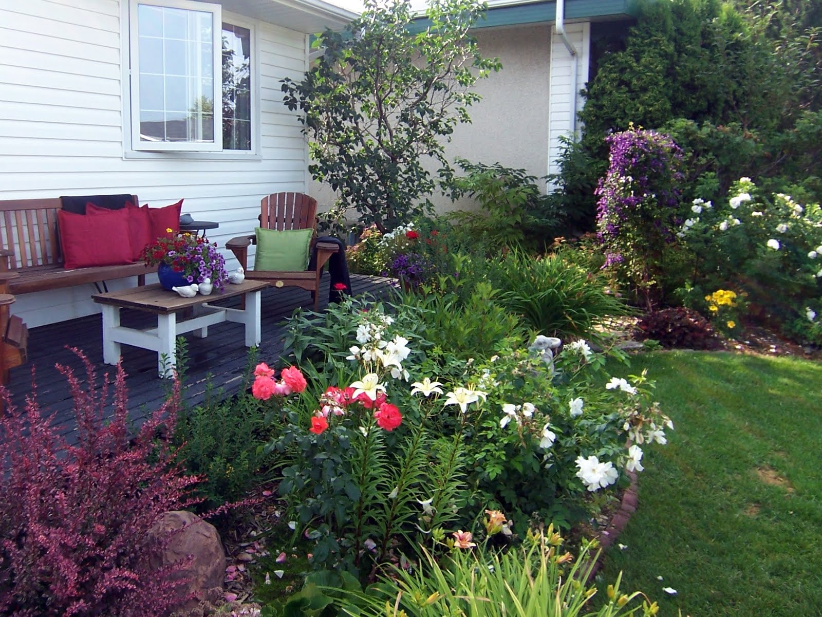 Backyard Garden Front Yards in Bloom