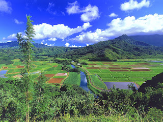 Wallpapers: Windows Wallpapers(2)