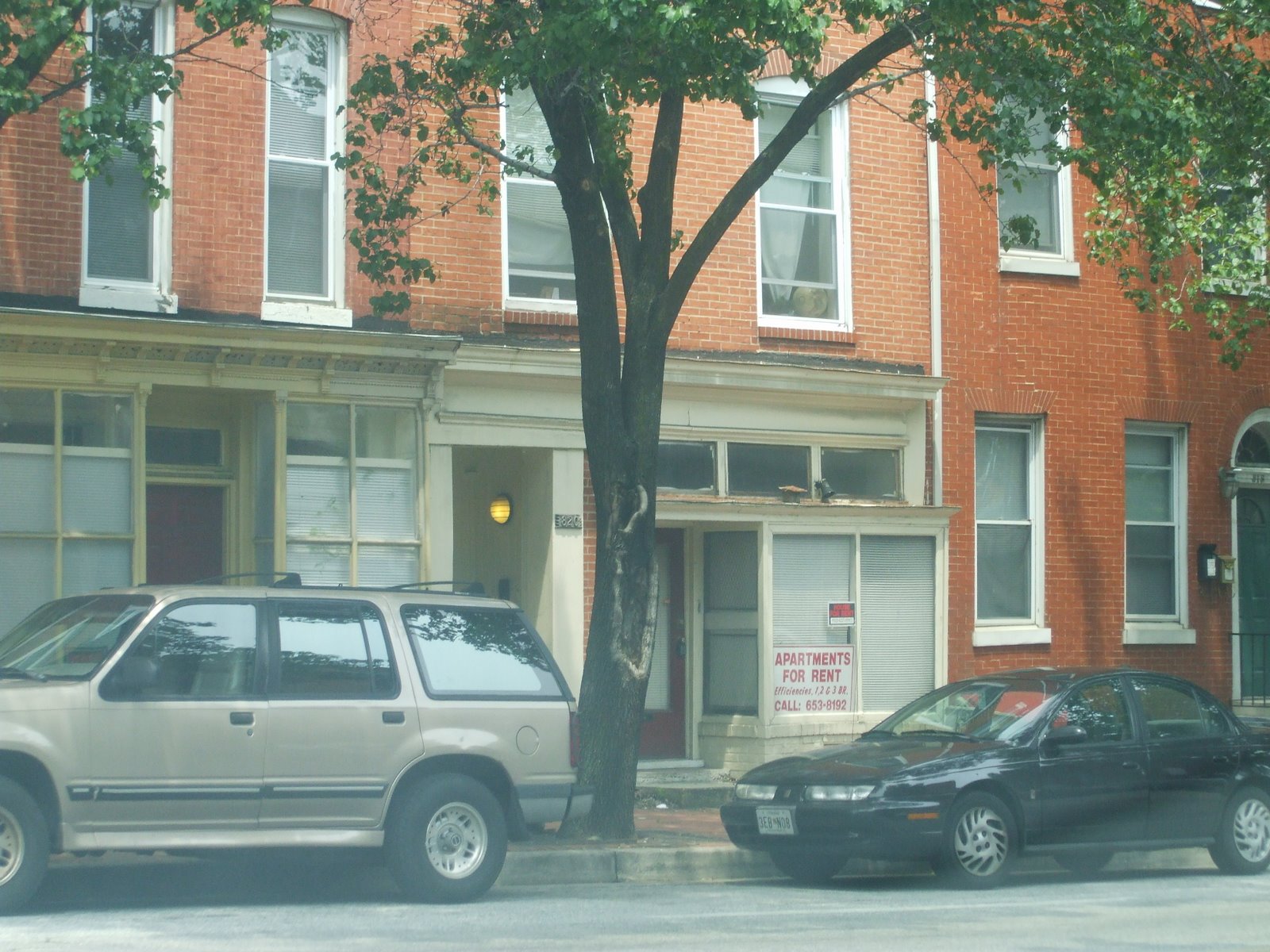 [Hollins+Market9.JPG]