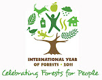 International Logo