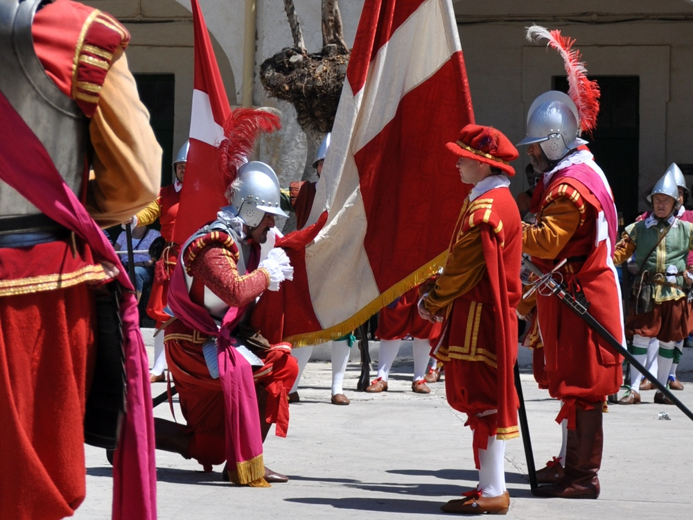 ASPIRUS MALTESE KNIGHTS has the salesforce incentive in a daze