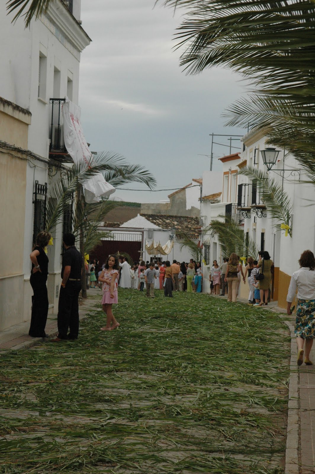 Burguillos Viajero 89. BURGUILLOS (III), Sevilla 29 de mayo de 2005.