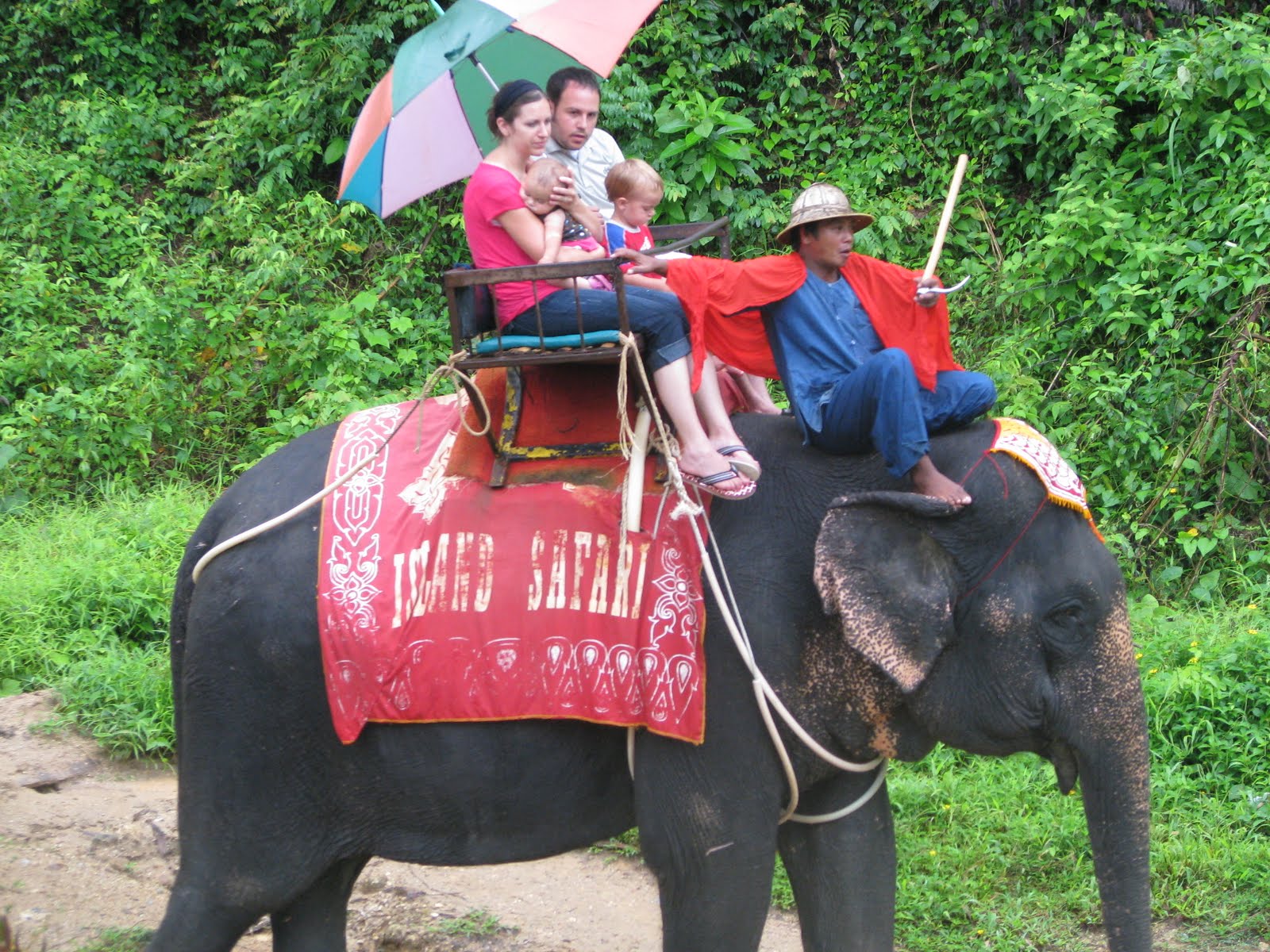 Thailand 2010: Elephant Rides