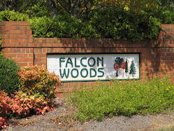 Falcon Woods - Marietta Community