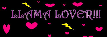im a llama loverr!